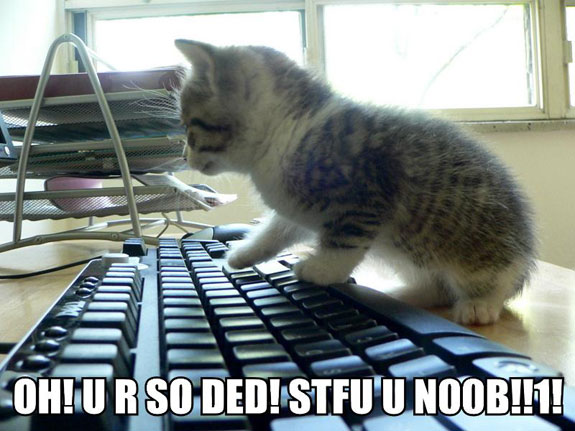 lolcat__noob.jpg
