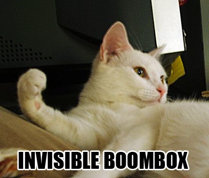 lolcat_boombox.jpg