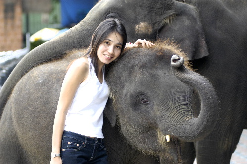 Thailady_babyelephant.jpg