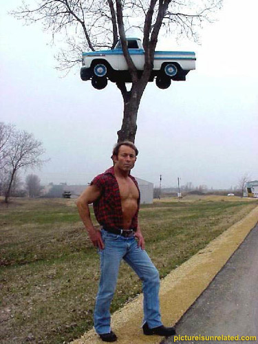 TreeTruck_kindagay.jpg