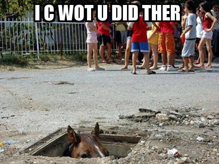 floorhorse_10.jpg