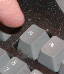 731765231.gif